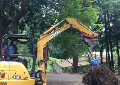 35 Tree move II Cascade Dozing