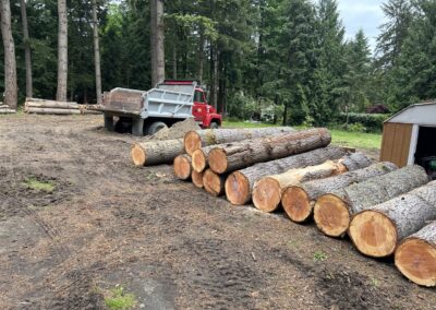 Logs Decked || Jim Agnew || Cascade Dozing