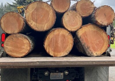Log haul out || Jim Agnew || Cascade Dozing
