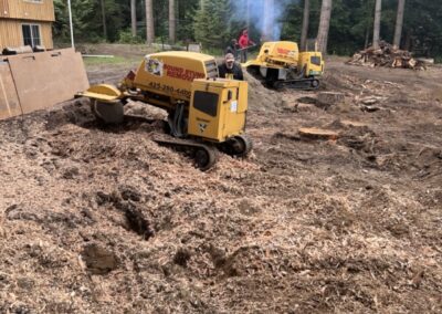 Stump removal